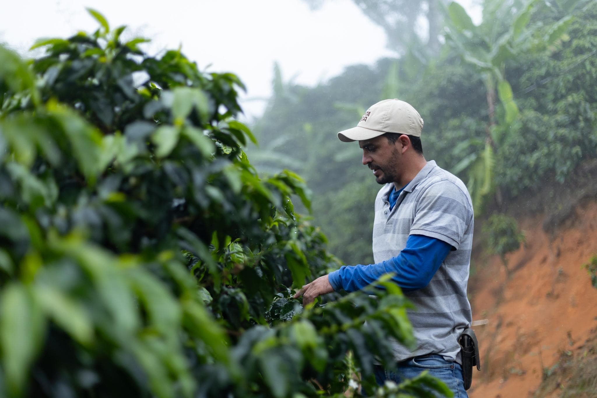 Raúl Blanco en su finca en La Concepción de Tarrazú.