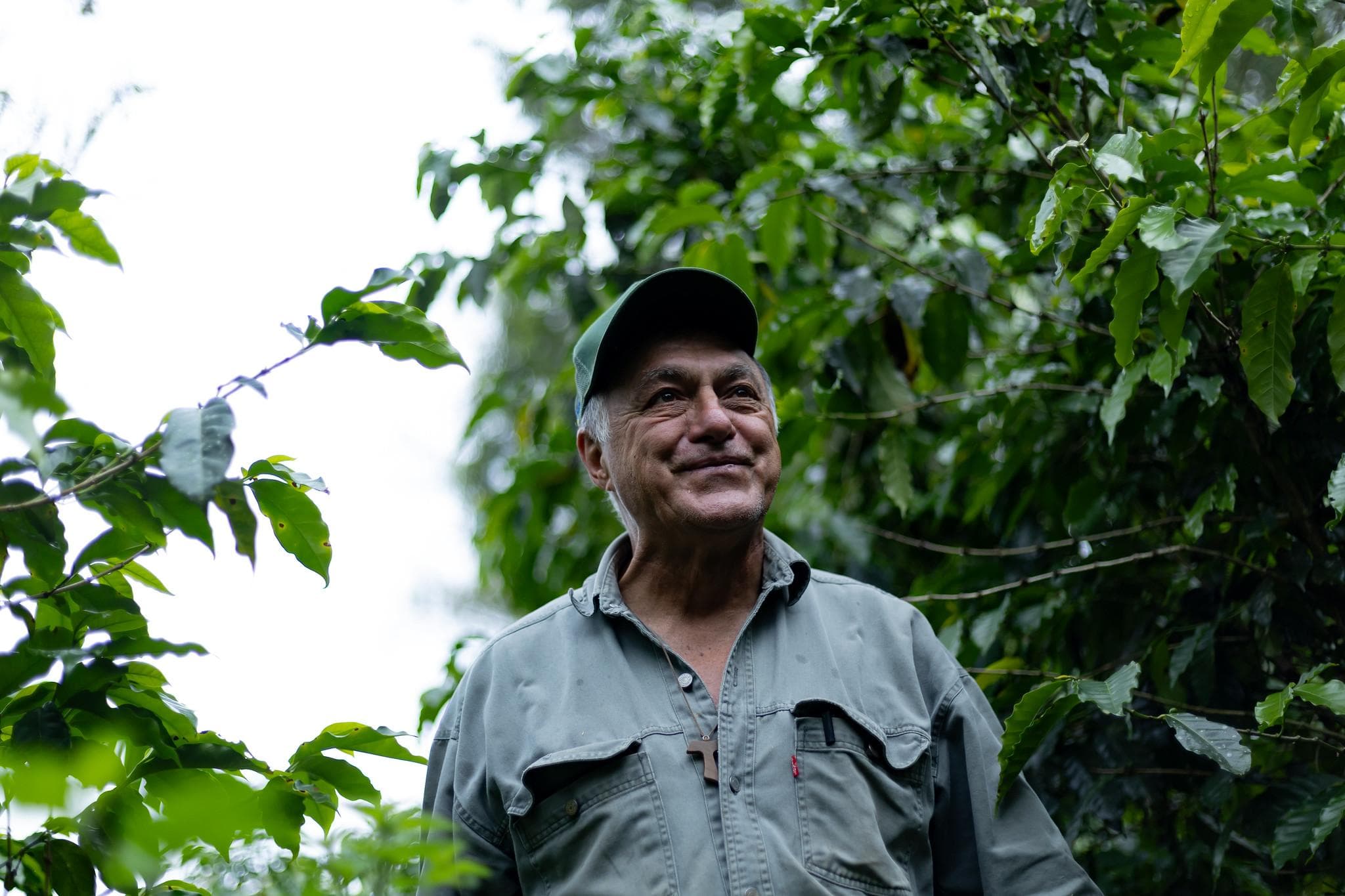 Fernando Naranjo es productor de café de Los Santos y presidente de Icafé.